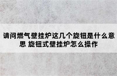 请问燃气壁挂炉这几个旋钮是什么意思 旋钮式壁挂炉怎么操作